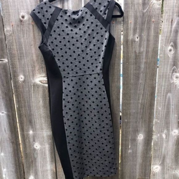 113. Enfocus Petite Polka Dot Black and Gray Dress 10P - Picture 7 of 14